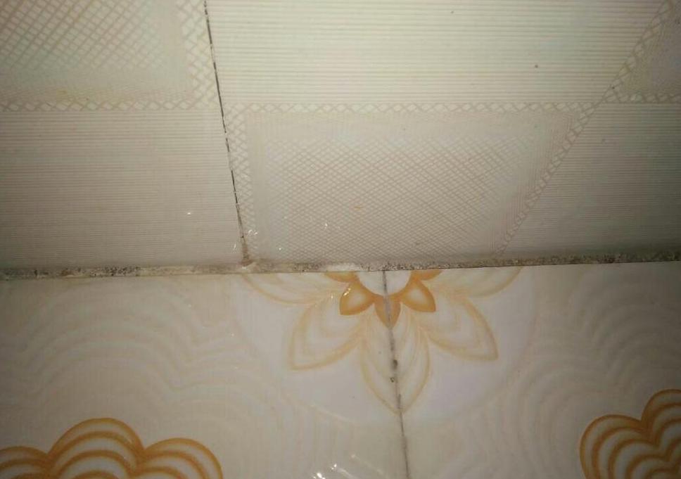 瓷砖填缝防水材料选择指南