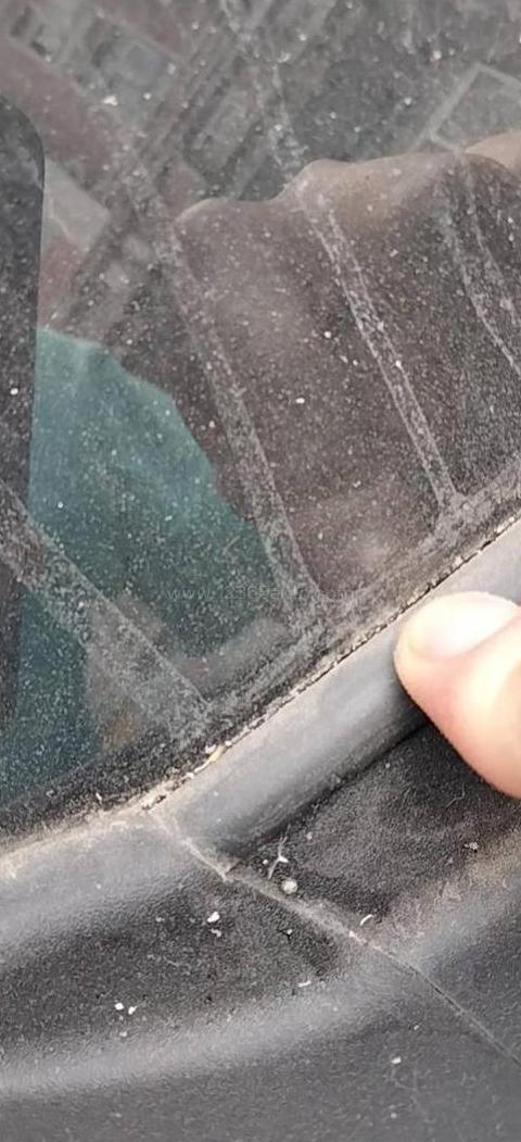 双层玻璃价格：每平方米100元起