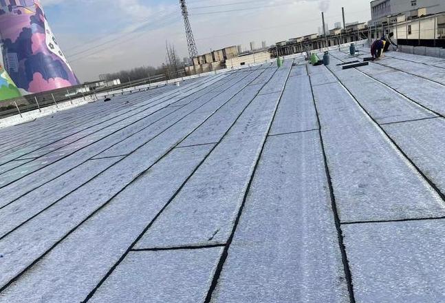 屋面防水施工全解析：补漏与施工步骤详解