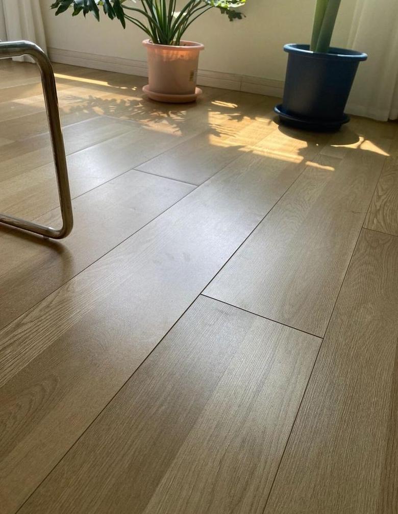 木地板泡水鼓起怎么办？修复与预防攻略