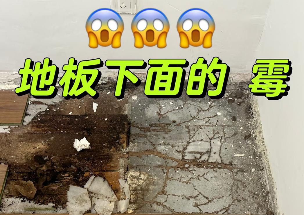 地板受潮翘起来了怎么修复