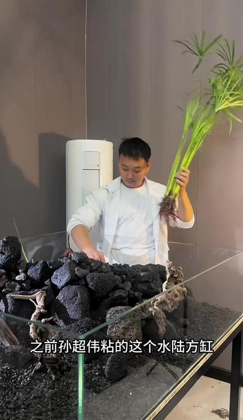 鱼缸破裂原因揭秘与预防措施