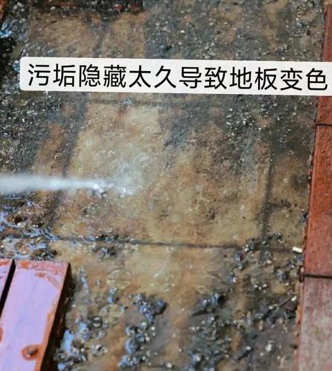 木地板潮湿发霉原因及解决方法全解析