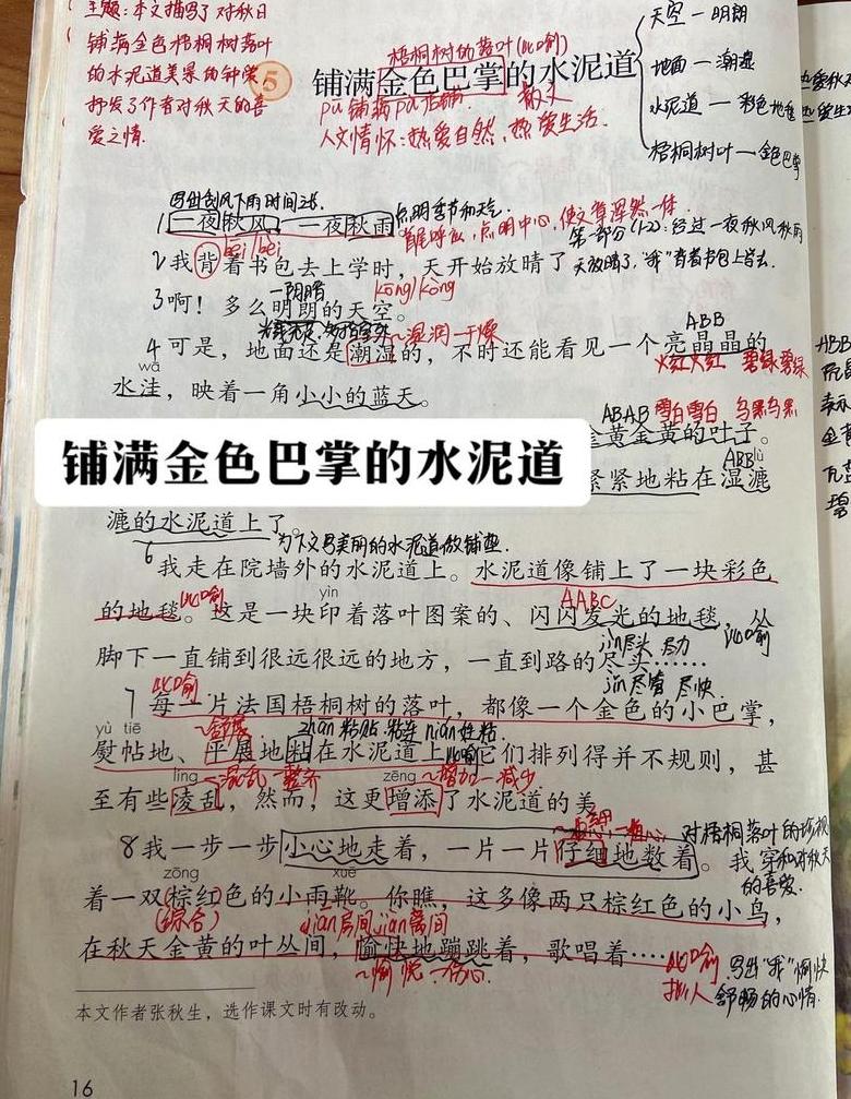揭秘水泥道如彩毯的修辞魅力