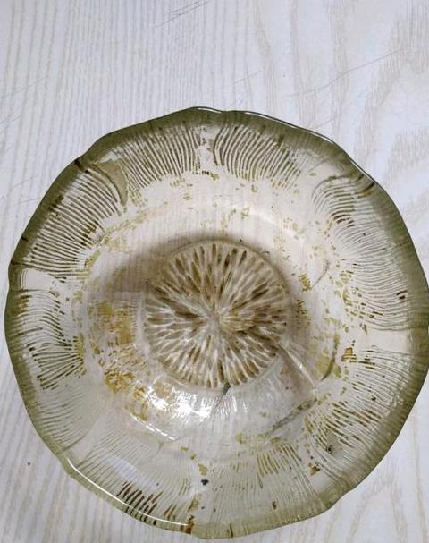 玻璃碗为什么会突然碎裂