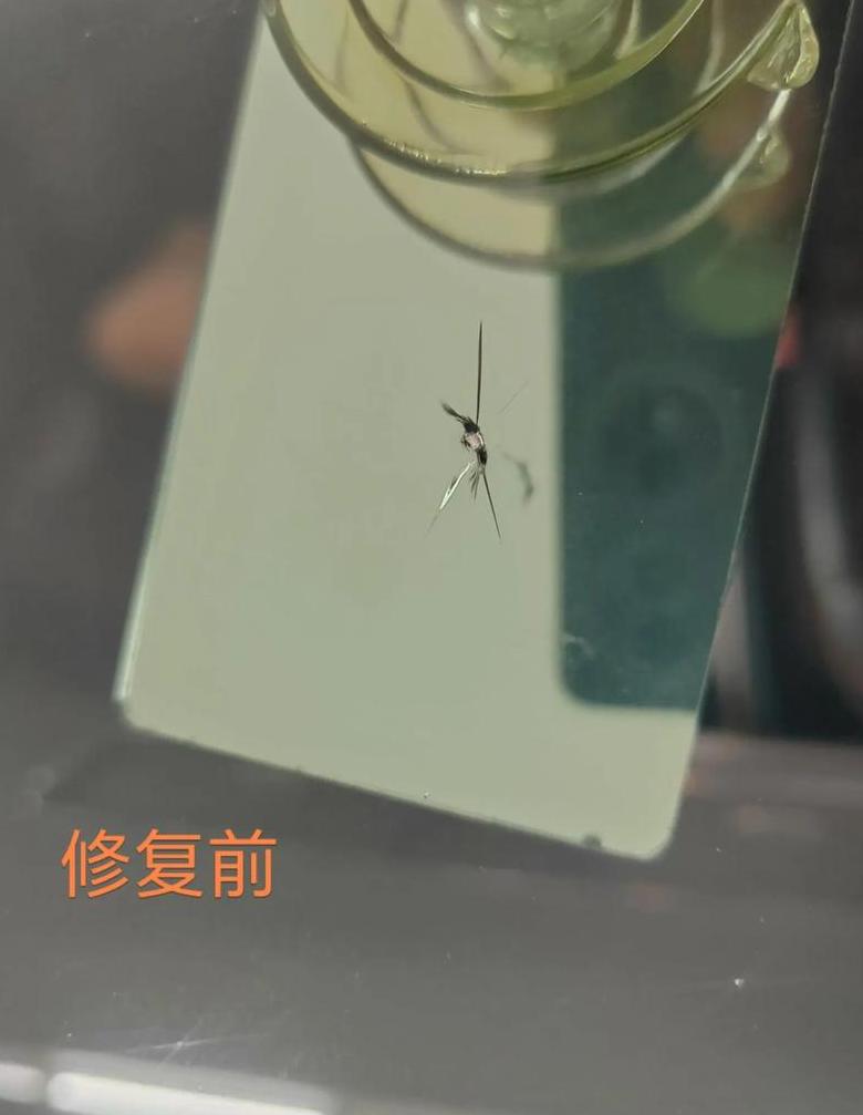 汽车挡风玻璃裂缝修复：502胶水可行吗？