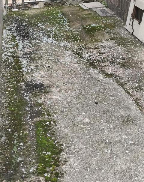 玻璃碎了是什么现象