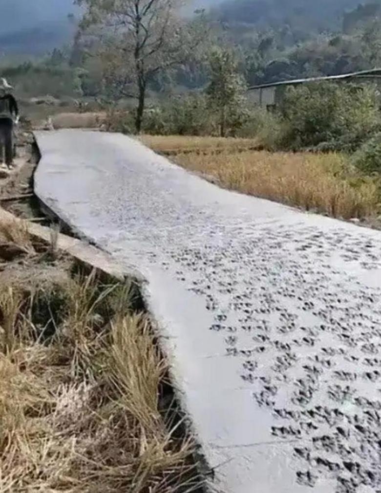 水泥路干燥时间指南