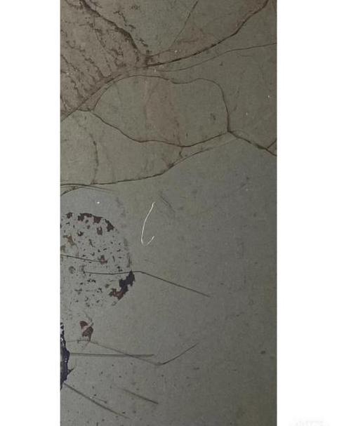 【烤箱玻璃门换新攻略】烤箱玻璃门损坏？这样换！